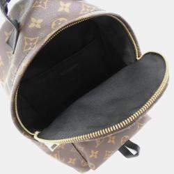 Louis Vuitton Monogram Palm Springs Backpack Pm