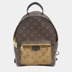 Louis Vuitton Monogram Reverse Palm Springs Backpack