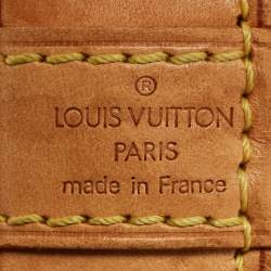 Louis Vuitton Monogram Canvas Alma PM Bag
