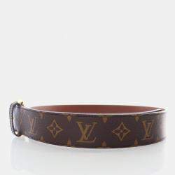 Louis Vuitton Pochette Duo Monogram Canvas Belt Bag