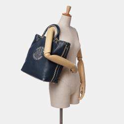 Louis Vuitton Navy Blue Tobago Trunks and Bags Shoe Bag