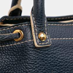 Louis Vuitton Navy Blue Tobago Trunks and Bags Shoe Bag