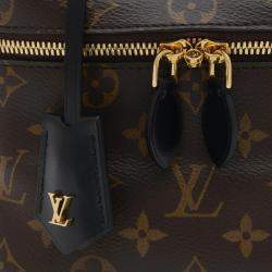 Louis Vuitton Monogram Reverse Vanity Nv Pm Bag