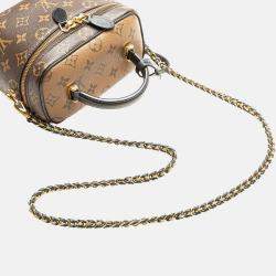Louis Vuitton Brown Monogram Reverse Vanity PM