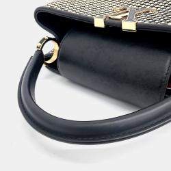 Louis Vuitton Beige Black Leather and Raffia Capucine MM bag