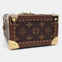 Louis Vuitton Brown Coated Canvas Camera Box bag