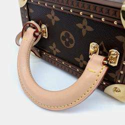 Louis Vuitton Brown Coated Canvas Camera Box bag
