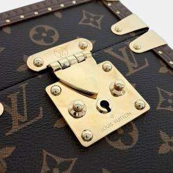 Louis Vuitton Brown Coated Canvas Camera Box bag