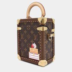 Louis Vuitton Brown Coated Canvas Camera Box bag