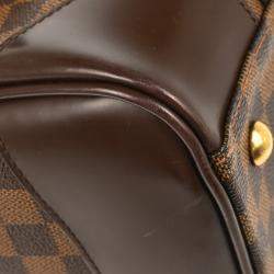 Louis Vuitton Berkeley Damier Ebene Canvas Handbag