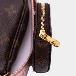 Louis Vuitton Brown Monogram Multi Pochette Accessoires