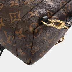 Louis Vuitton Monogram Palm Springs Mini Brown Canvas Backpack