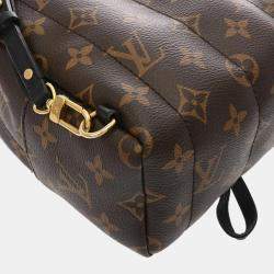 Louis Vuitton Monogram Palm Springs Mini Brown Canvas Backpack