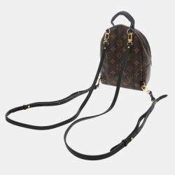 Louis Vuitton Monogram Palm Springs Mini Brown Canvas Backpack