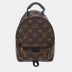 Louis Vuitton Monogram Palm Springs Mini Brown Canvas Backpack