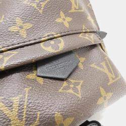 Louis Vuitton Monogram Palm Springs Backpack Mini