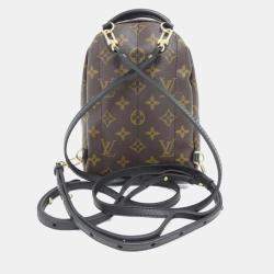 Louis Vuitton Monogram Palm Springs Backpack Mini