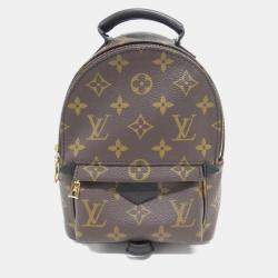 Louis Vuitton Monogram Palm Springs Backpack Mini