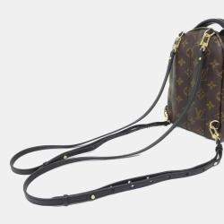 Louis Vuitton Monogram Palm Springs Backpack Mini