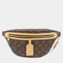 Louis Vuitton Monogram High Rise Handbag