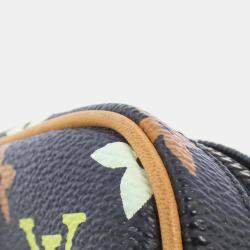 Louis Vuitton Multicolor Lift Handbag