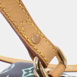 Louis Vuitton Multicolor Lift Handbag