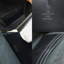 Louis Vuitton Bumbag Dauphine Body Bag Monogram Reverse