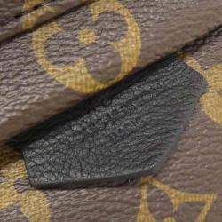 Louis Vuitton Monogram Palm Springs Backpack Mini