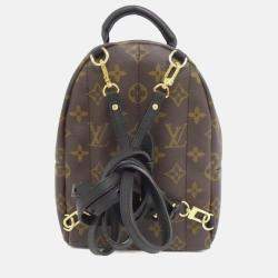 Louis Vuitton Monogram Palm Springs Backpack Mini