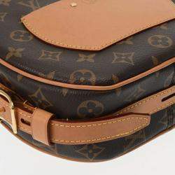 Louis Vuitton Monogram Boite Chapeau Souple Brown Canvas Shoulder Bag
