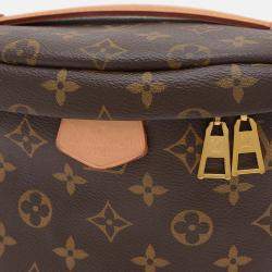 Louis Vuitton Monogram Bum Bag Waist Body