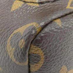 Louis Vuitton Monogram Palm Springs Backpack Mini