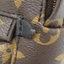 Louis Vuitton Monogram Palm Springs Backpack Mini