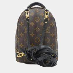 Louis Vuitton Monogram Palm Springs Backpack Mini