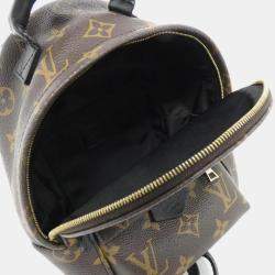 Louis Vuitton Monogram Palm Springs Backpack Mini