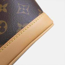 Louis Vuitton Monogram Nano Noe Shoulder Bag