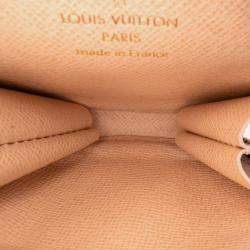 Louis Vuitton Brown Monogram Multi Pochette Accessoires