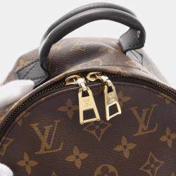  Louis Vuitton Palm Springs PM Brown Beige Coated Canvas Leather Monogram Reverse  Backpack