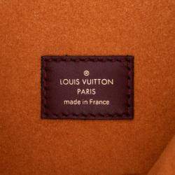 Louis Vuitton Brown/Orange Monogram Braided Pochette Metis