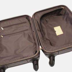 Louis Vuitton Brown Monogram Zephyr 50
