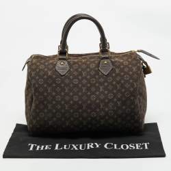 Louis Vuitton Fusain Monogram Mini Lin Canvas Speedy 30 Bag