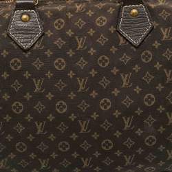 Louis Vuitton Fusain Monogram Mini Lin Canvas Speedy 30 Bag