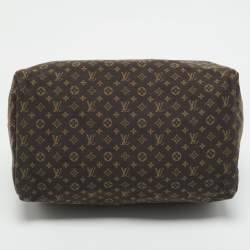 Louis Vuitton Fusain Monogram Mini Lin Canvas Speedy 30 Bag