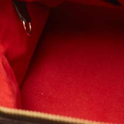 Pre Owned Louis Vuitton Damier Ebene Canvas Trevi PM Bag