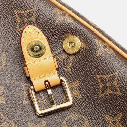 Pre Owned Louis Vuitton Brown Monogram Diane