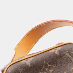 Louis Vuitton Danube Monogram