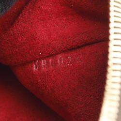 Louis Vuitton Multiplicity Monogram