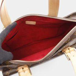 Louis Vuitton Multiplicity Monogram