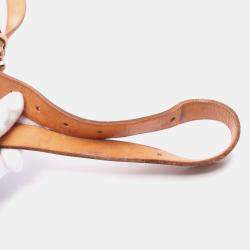 Pre Owned Louis Vuitton Cartouchiere MM Monogram Leather Crossbody Shoulder Bag