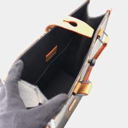 Pre Owned حقيبة لويس فويتون نيجو ميني دامير جاينت مونوغرام كانفاس توت